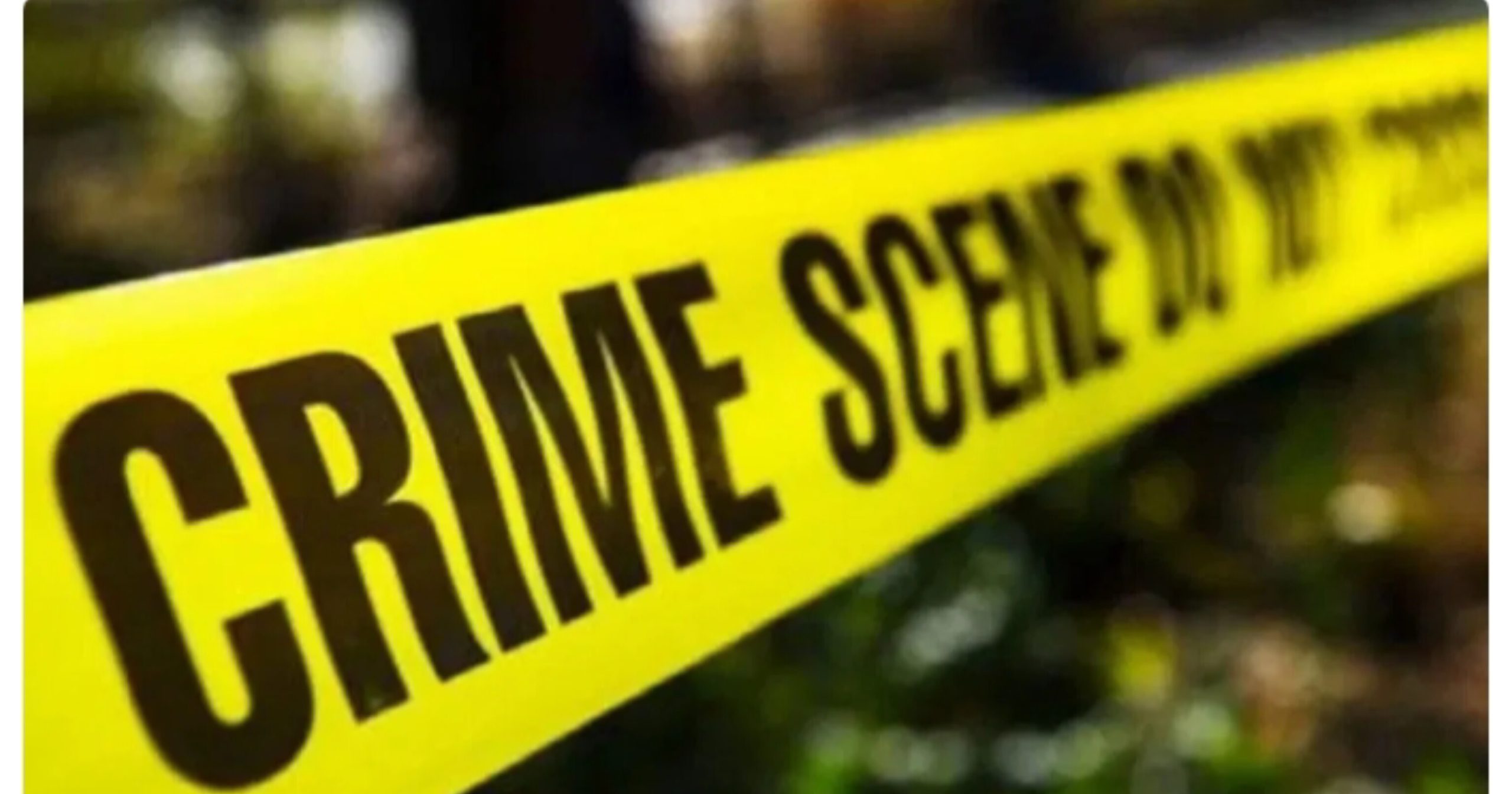 InShot_20260221_222054013